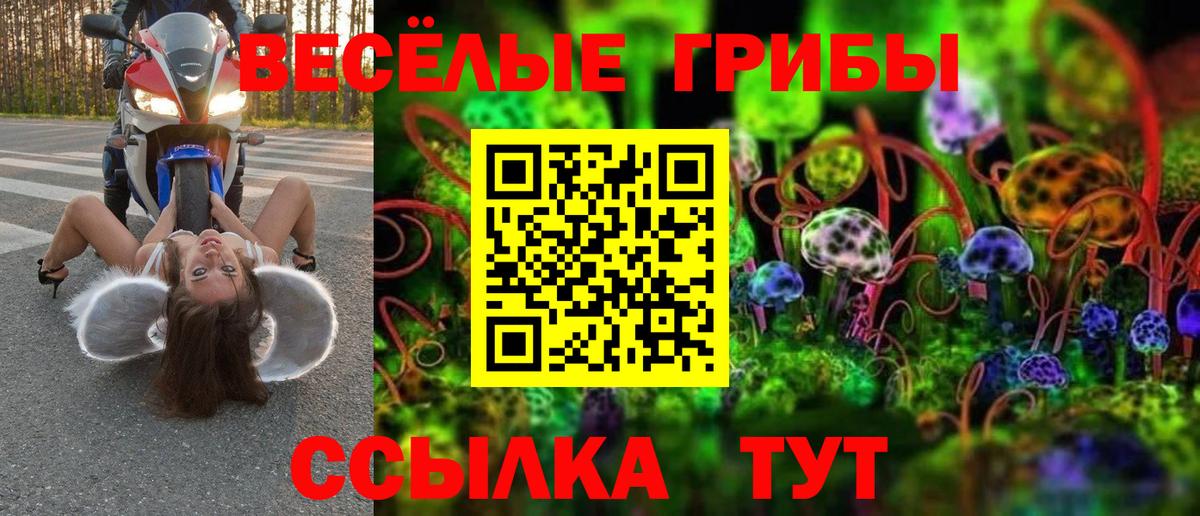 Галлюциногенные грибы Psilocybe  Вход с VPN  Галлюциногенные грибы GOLDEN TEACHER  Новодвинск 